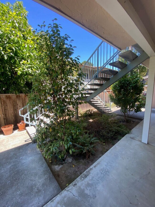 Building Photo - 258 Palo Alto Ave