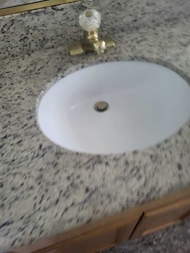 Building Photo - 5049 Pine Lake Ct