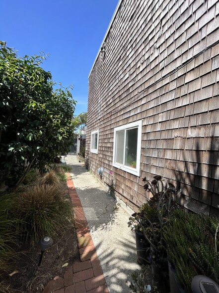 Side Yard with lemon trees - 1482 Innes Avenue