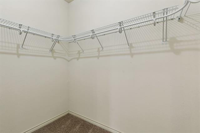Building Photo - 2917 Savill Garden Dr