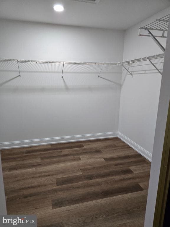 Building Photo - 5125 Cinnamon Ct