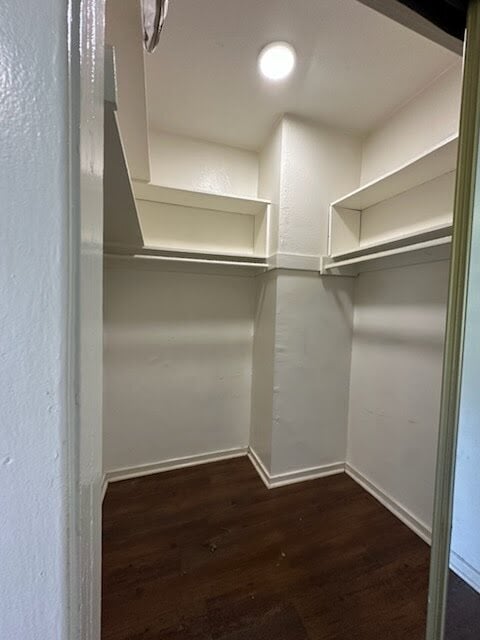 Building Photo - 631 Coronado Ter