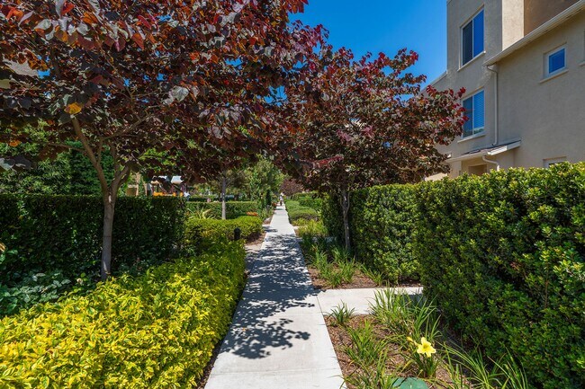 Building Photo - Ocean, #104