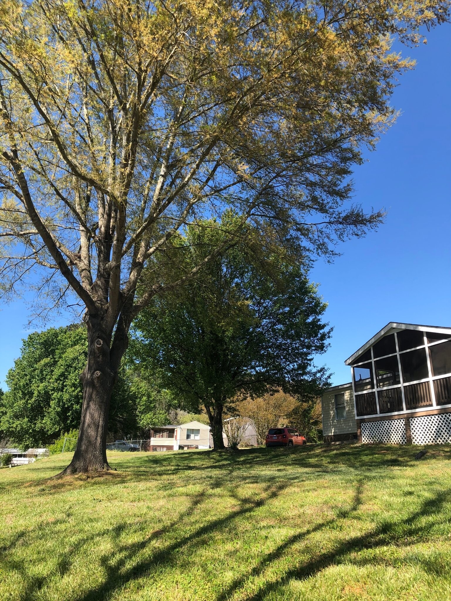 Building Photo - 1305 Ewing Dr