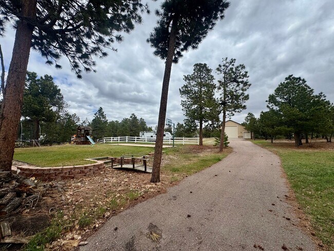 Building Photo - Beautiful home in Black Forest on 2.5 acres