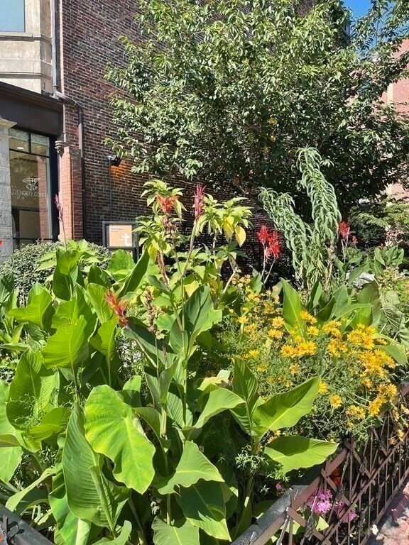 Building Photo - 565 Columbus Ave