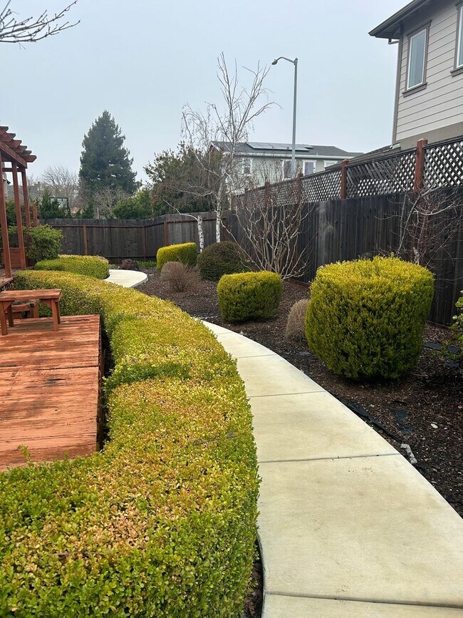 Building Photo - Beautiful East Petaluma Home