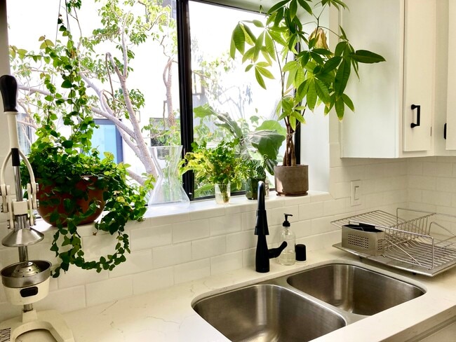 Building Photo - 2500 Abbot Kinney Blvd