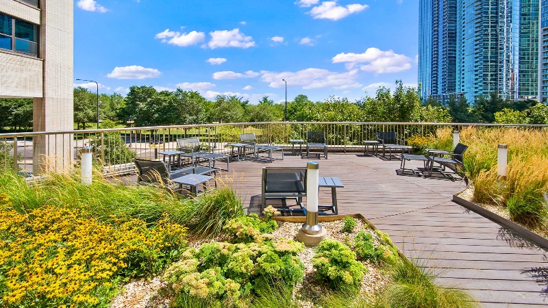 Building Photo - 1126 S Michigan Ave