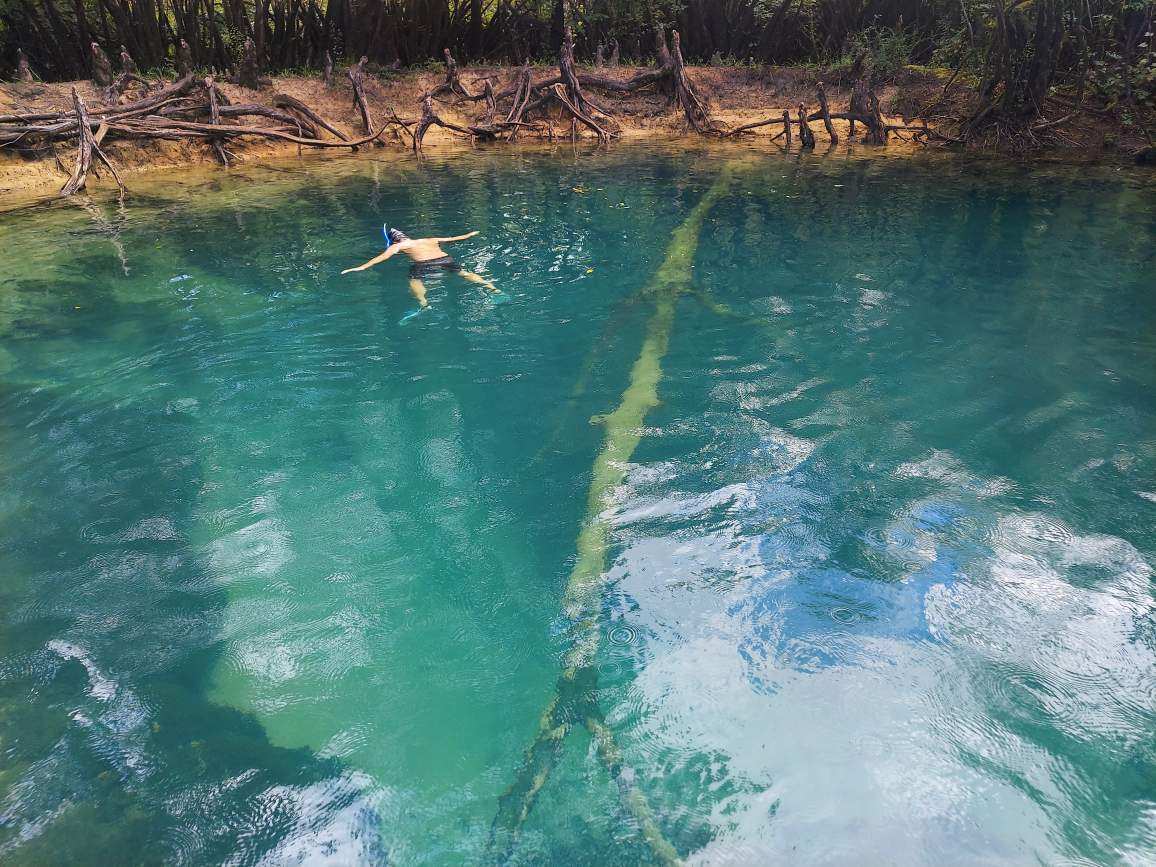 Building Photo - 3610 Conwick Dr