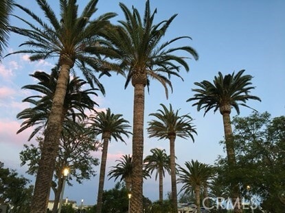 Building Photo - 129 Cadence