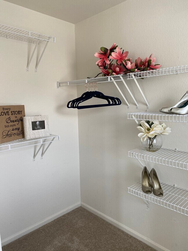 Primary Walk-in Closet - 1918 Hogan Ct