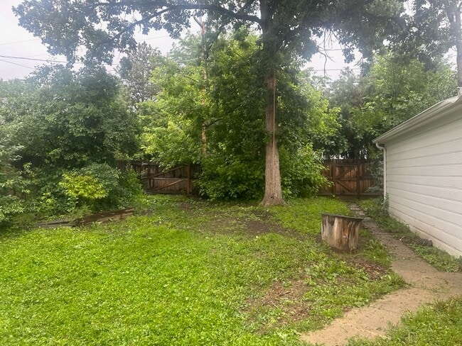 Back yard - 3010 S Downing St