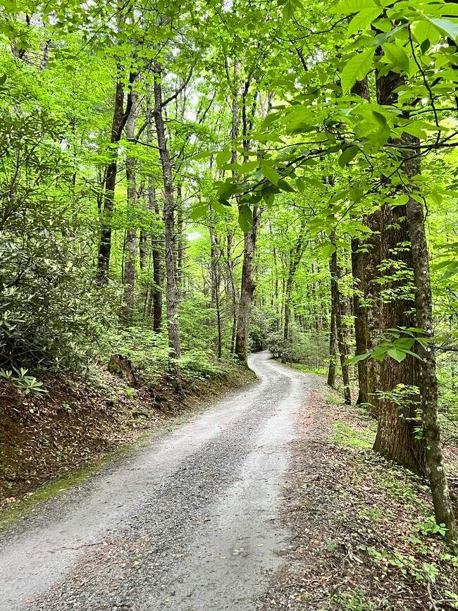 Building Photo - 59 Elm Dr