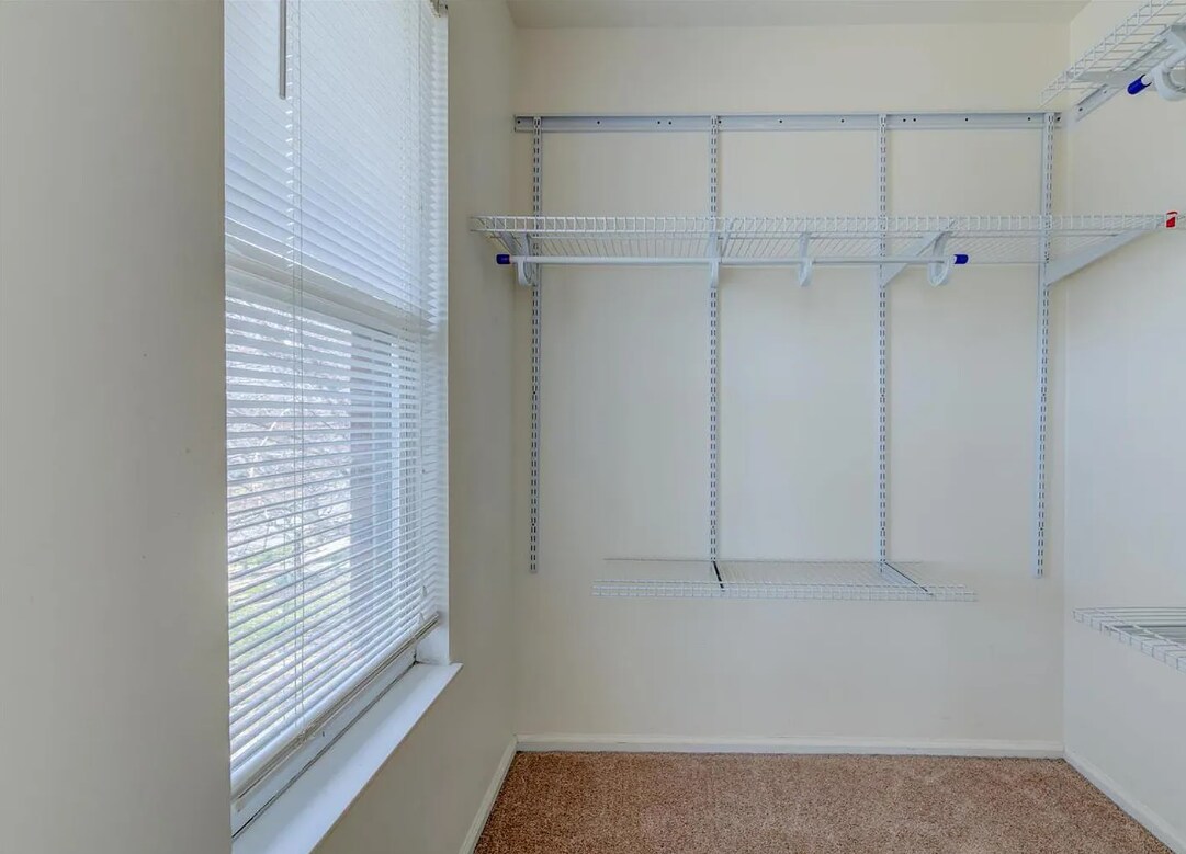 Building Photo - 4109 Westminster Pl