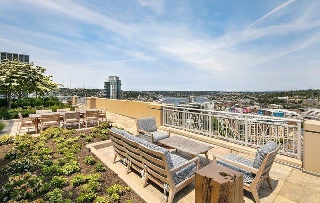 Rooftop recreational area - 819 Virginia St