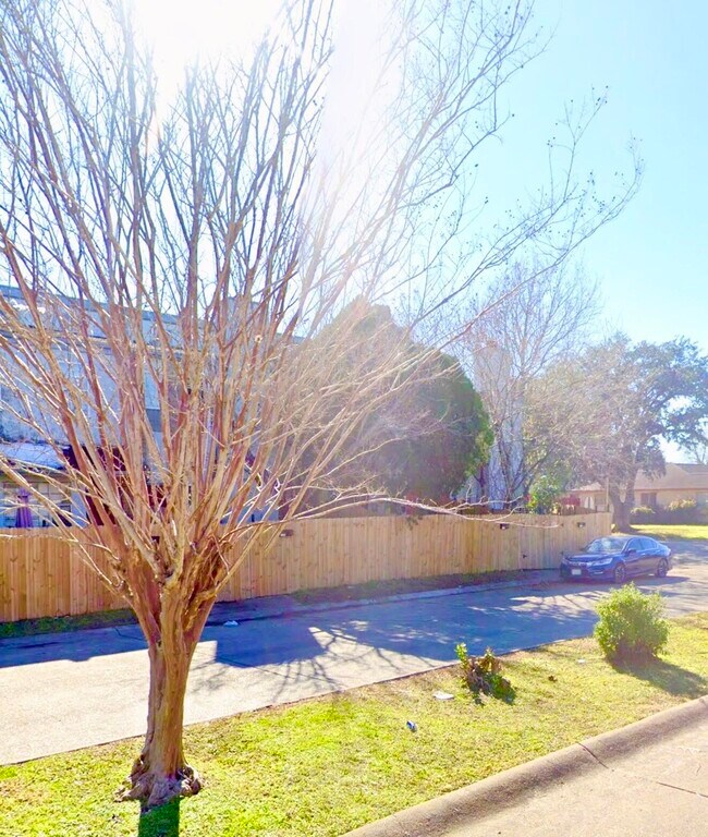 Building Photo - 11203 Shannon Hills Dr