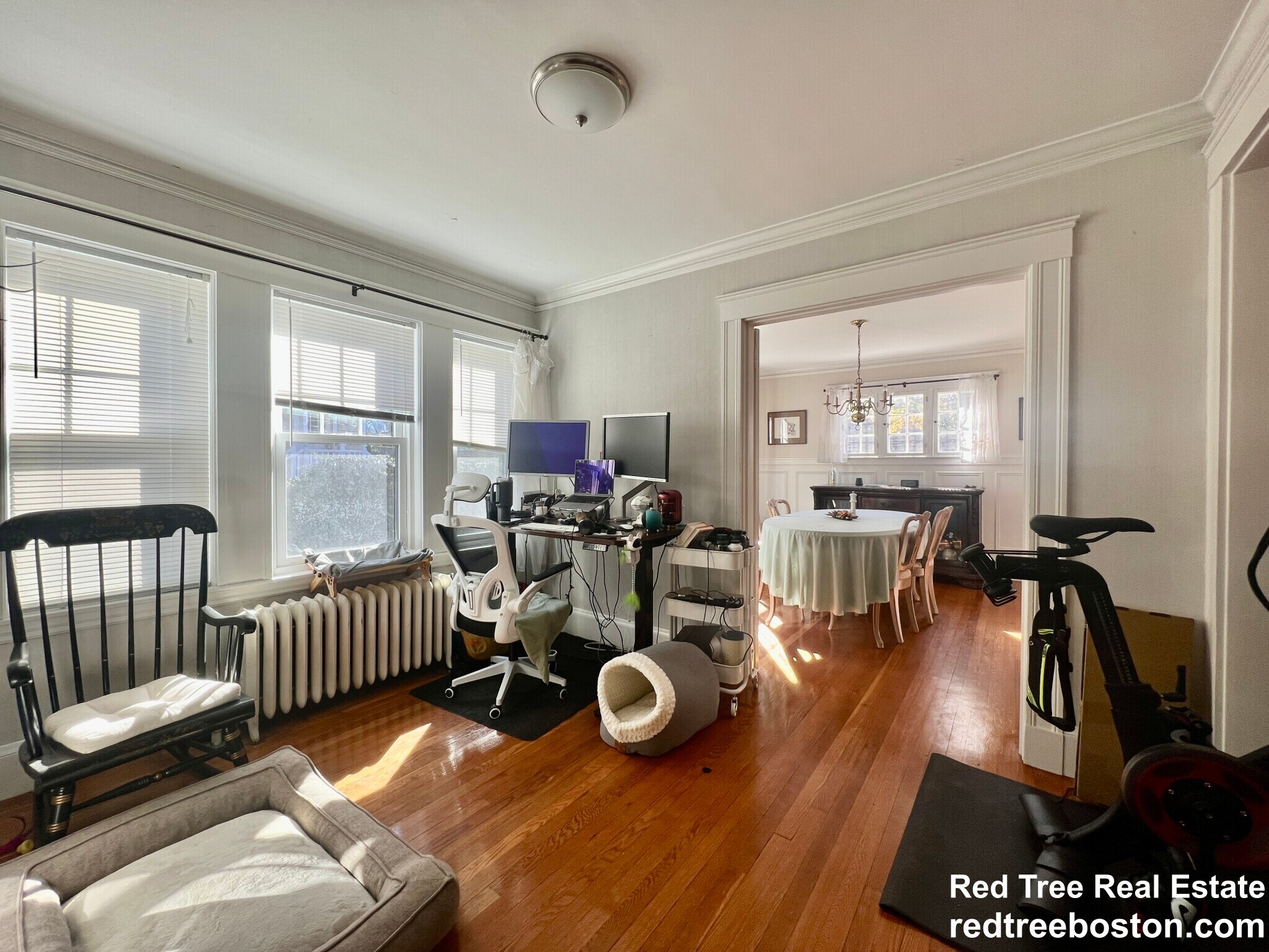 Building Photo - 118 Elgin St