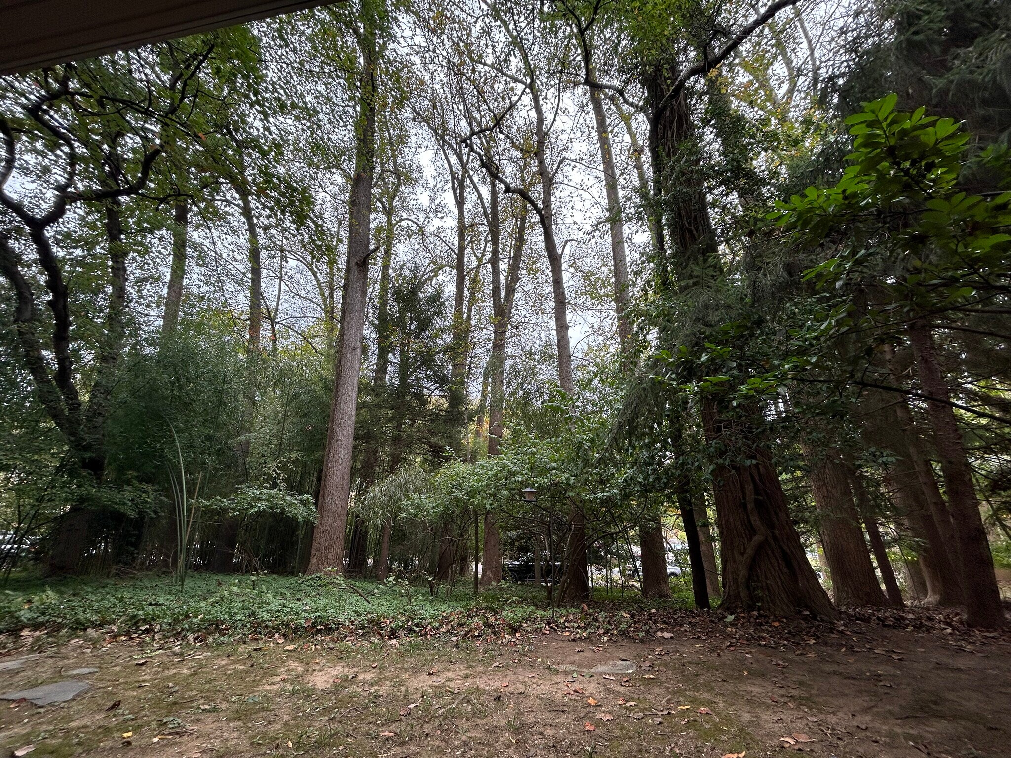 Building Photo - 10506 Weymouth St