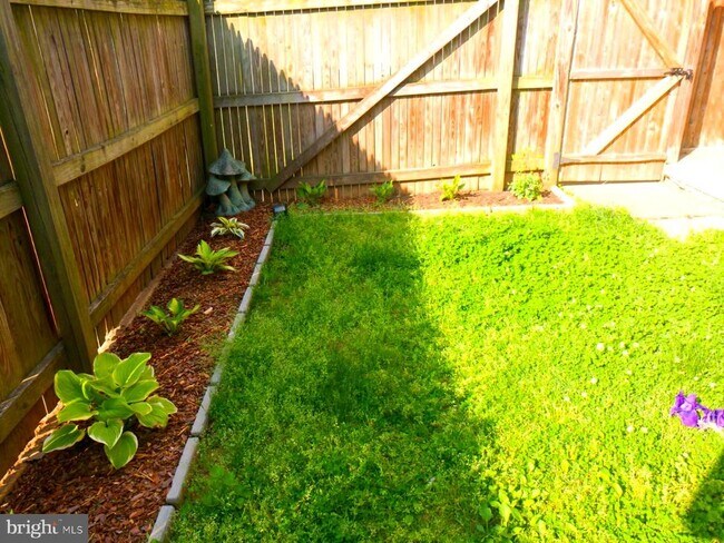 Building Photo - 429 Hampton Ct