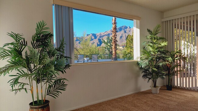FR view to Catalinas (LR view similar) - 5161 E Camino Bosque