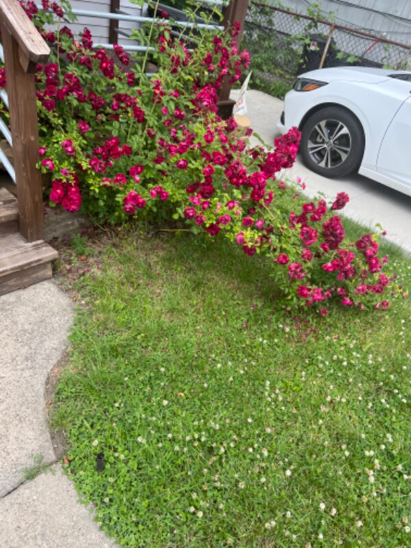 Building Photo - 283 Grand Ave