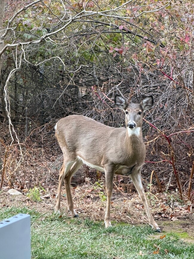 Building Photo - 7 Wexford Dr