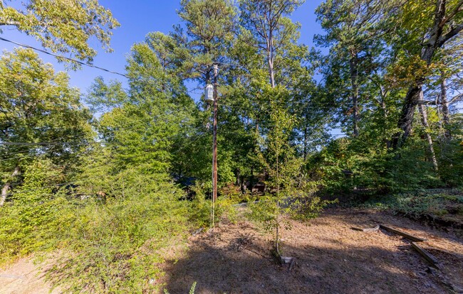 Building Photo - Beautiful Home in the Heart of Little Rock