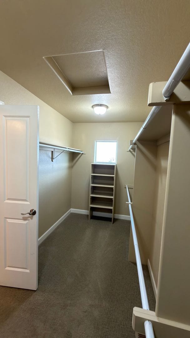 Building Photo - Great House In Fort Collins