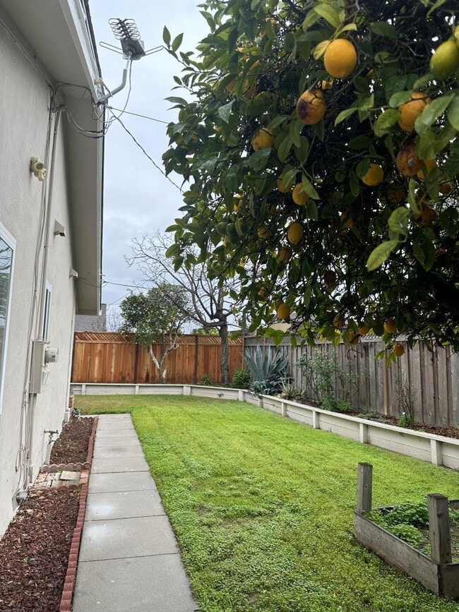 Building Photo - 1934 Foxworthy Ave