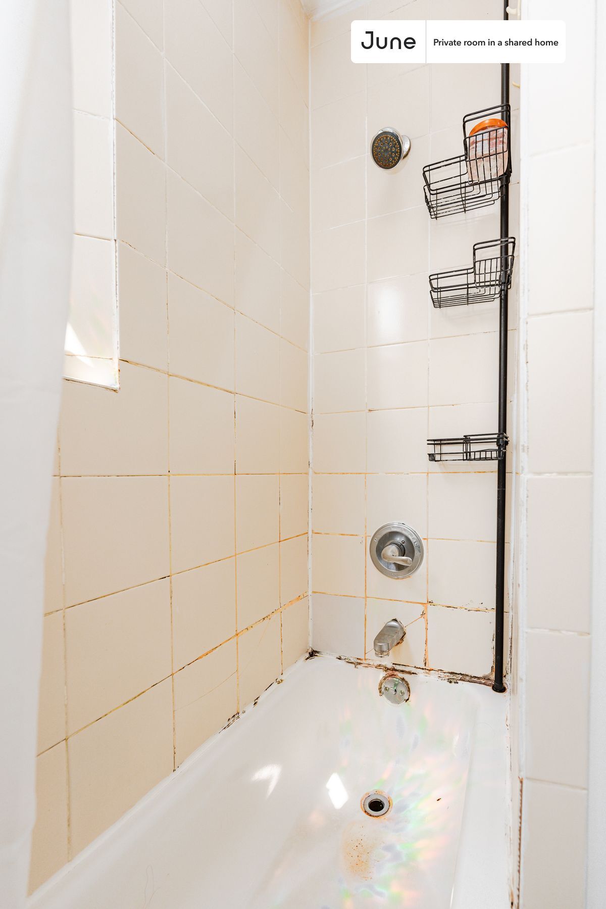 Building Photo - Room in Shared 3 bed/1 bath home