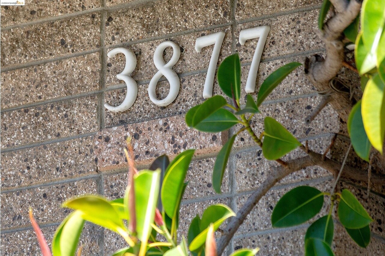 Building Photo - 3877 Howe St