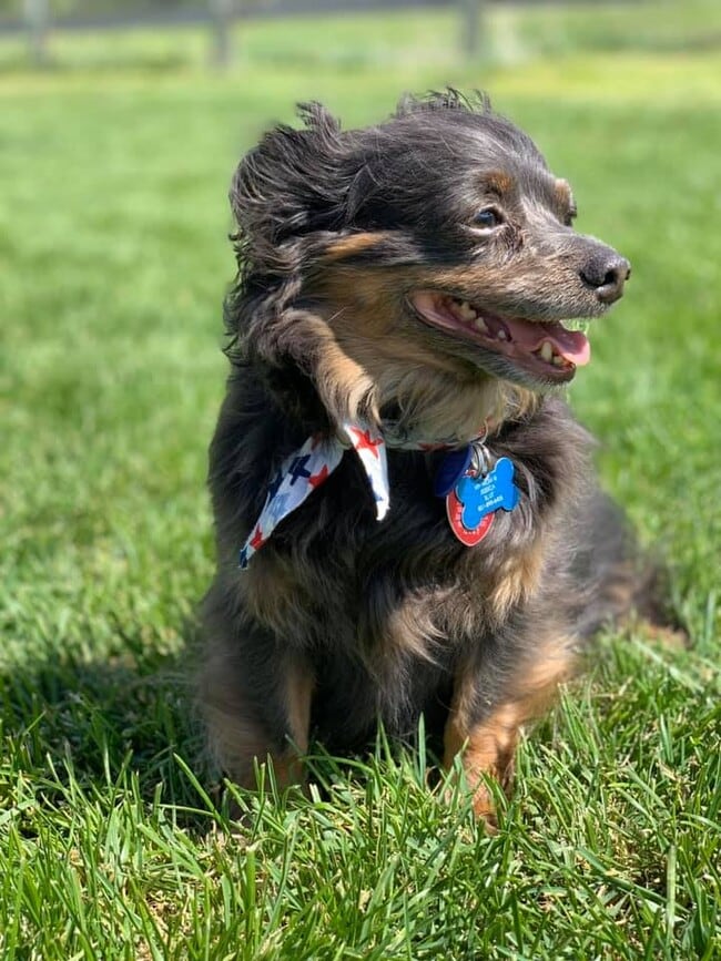 Floorplan - The Park At Bountiful