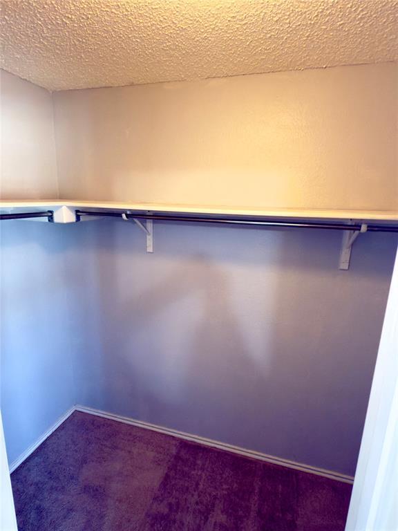 Building Photo - 3640 Bass Loop