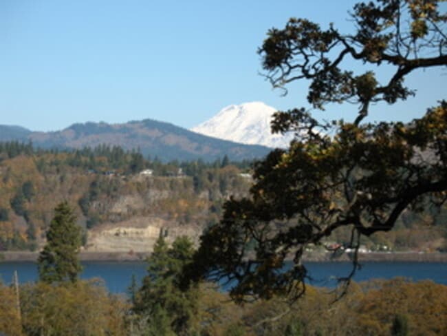 Building Photo - 1523 Lincoln St