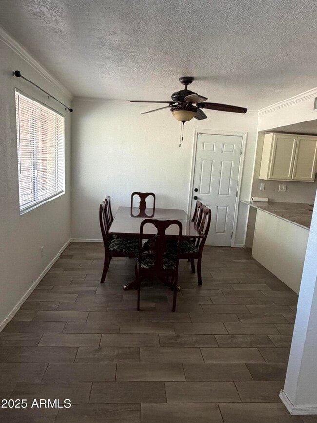 Building Photo - 1101 Cholla Cir