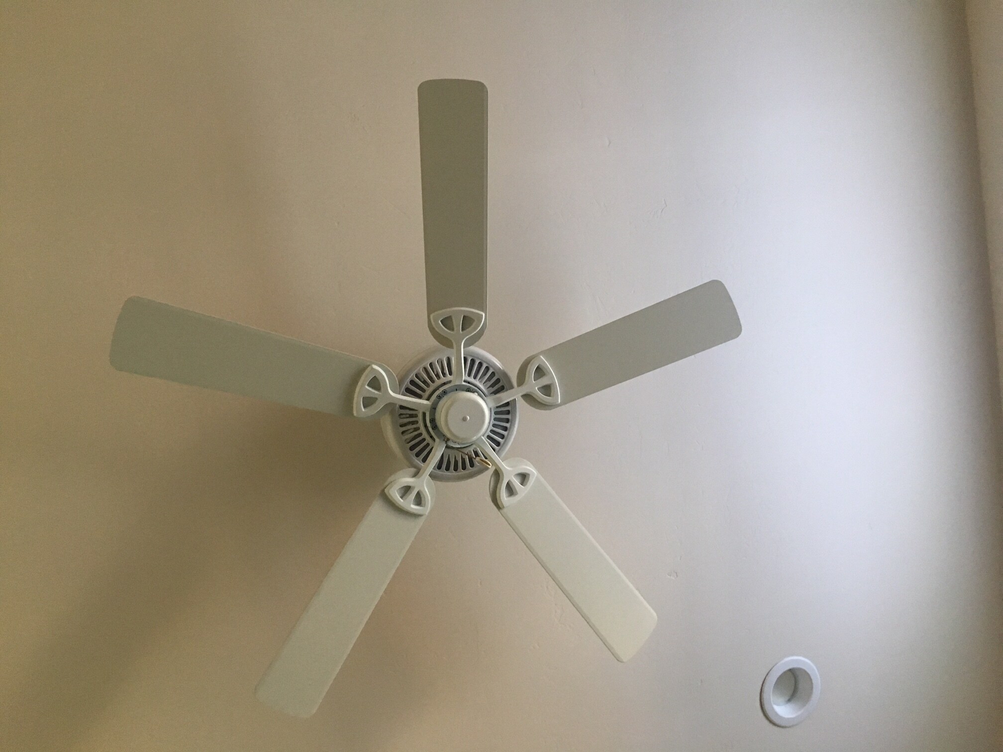 Fans in all rooms - 818 Hygeia Ave