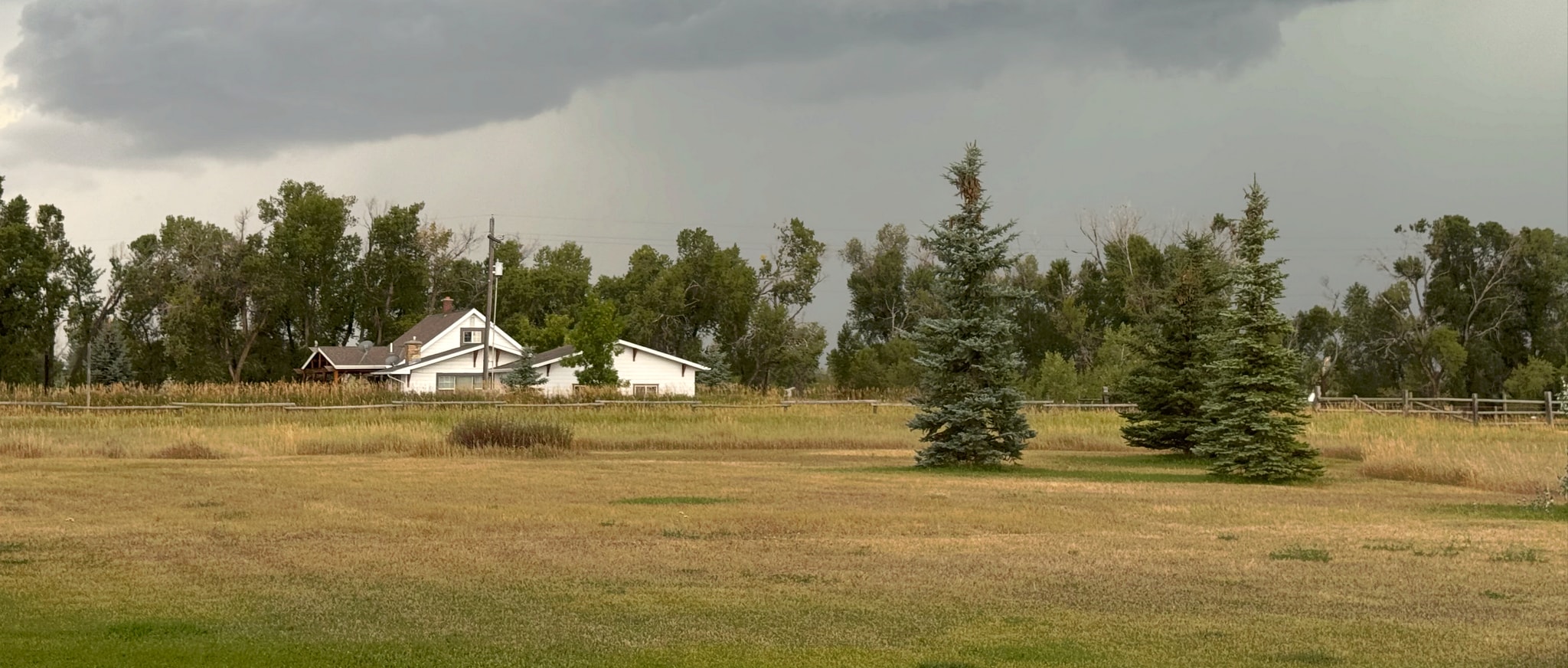 View over the backyard (out the back door of the main house). - 2541 Blackjack Pl