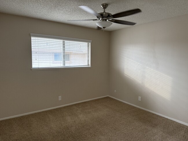 Building Photo - 183 Southampton Way