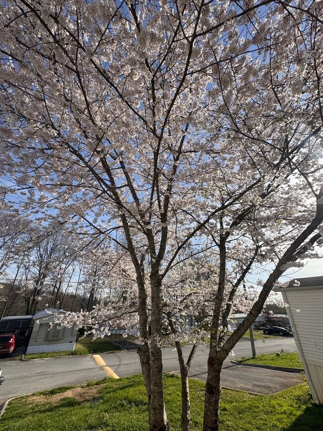 Building Photo - 7804 Stanley Rd