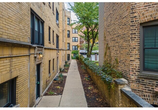 Building Photo - 648.5 W Roscoe St