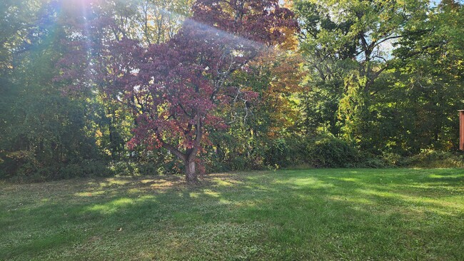 Peaceful backyard - 511 Fostertown Rd