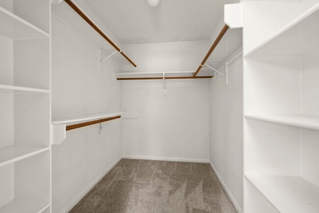 Building Photo - 1243 Willow Branch Dr