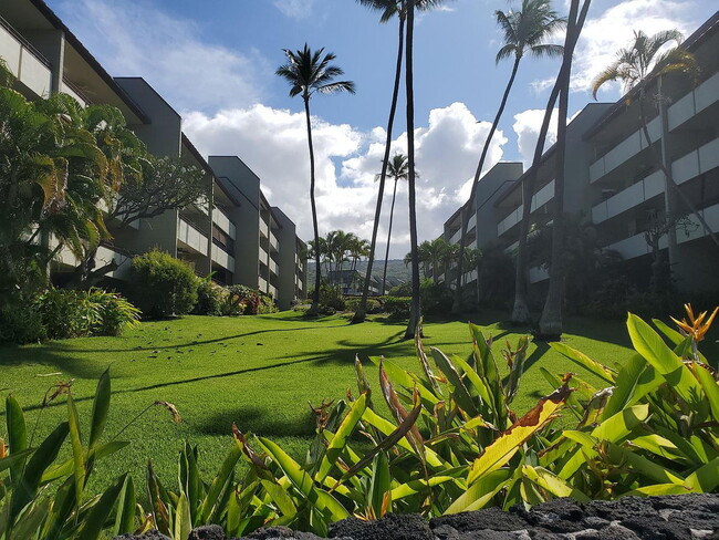 Building Photo - "Experience Island Living: Spacious 2-Bed, 2-Bath Retreat on Alii Drive!"
