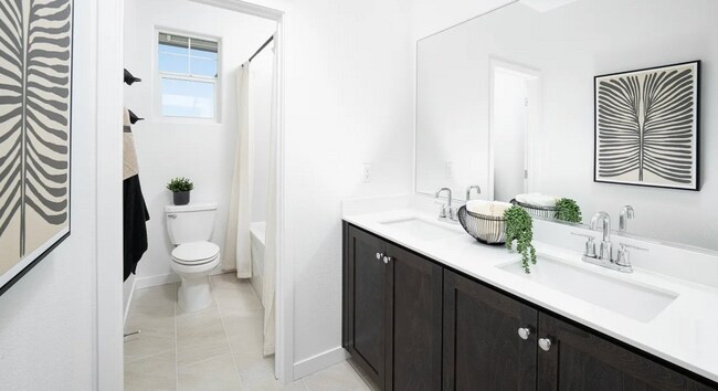 Building Photo - BRAND NEW 4/3.5 (HUGE) Elk Grove!   Please see marketing ad for viewings.