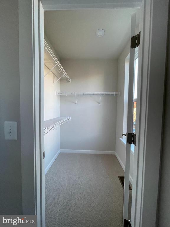 Building Photo - 4161 Red Mulberry Dr