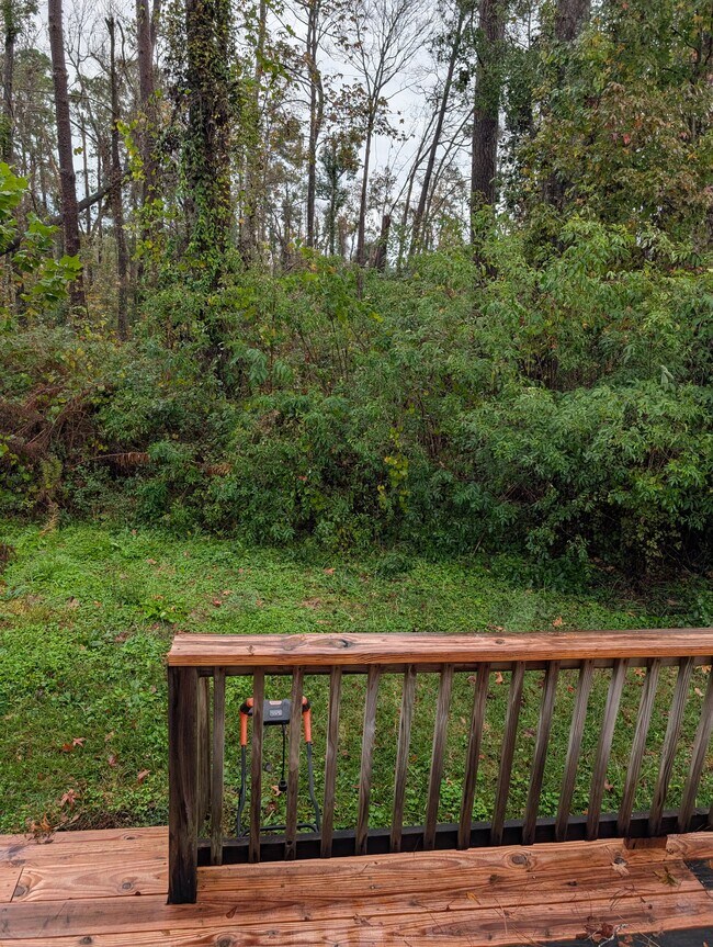 back yard - 2443 Chateau Ln