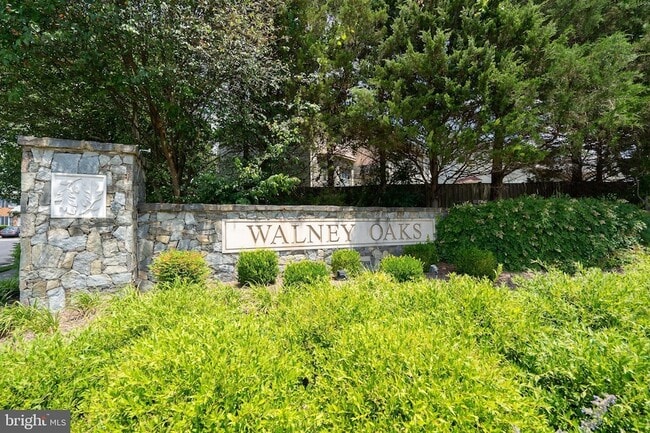 Building Photo - 4481 Shady Point Pl