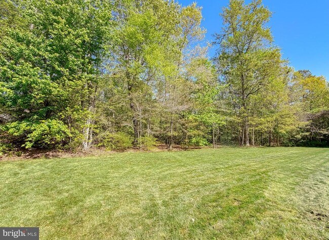 Building Photo - 23017 Holloway Ct
