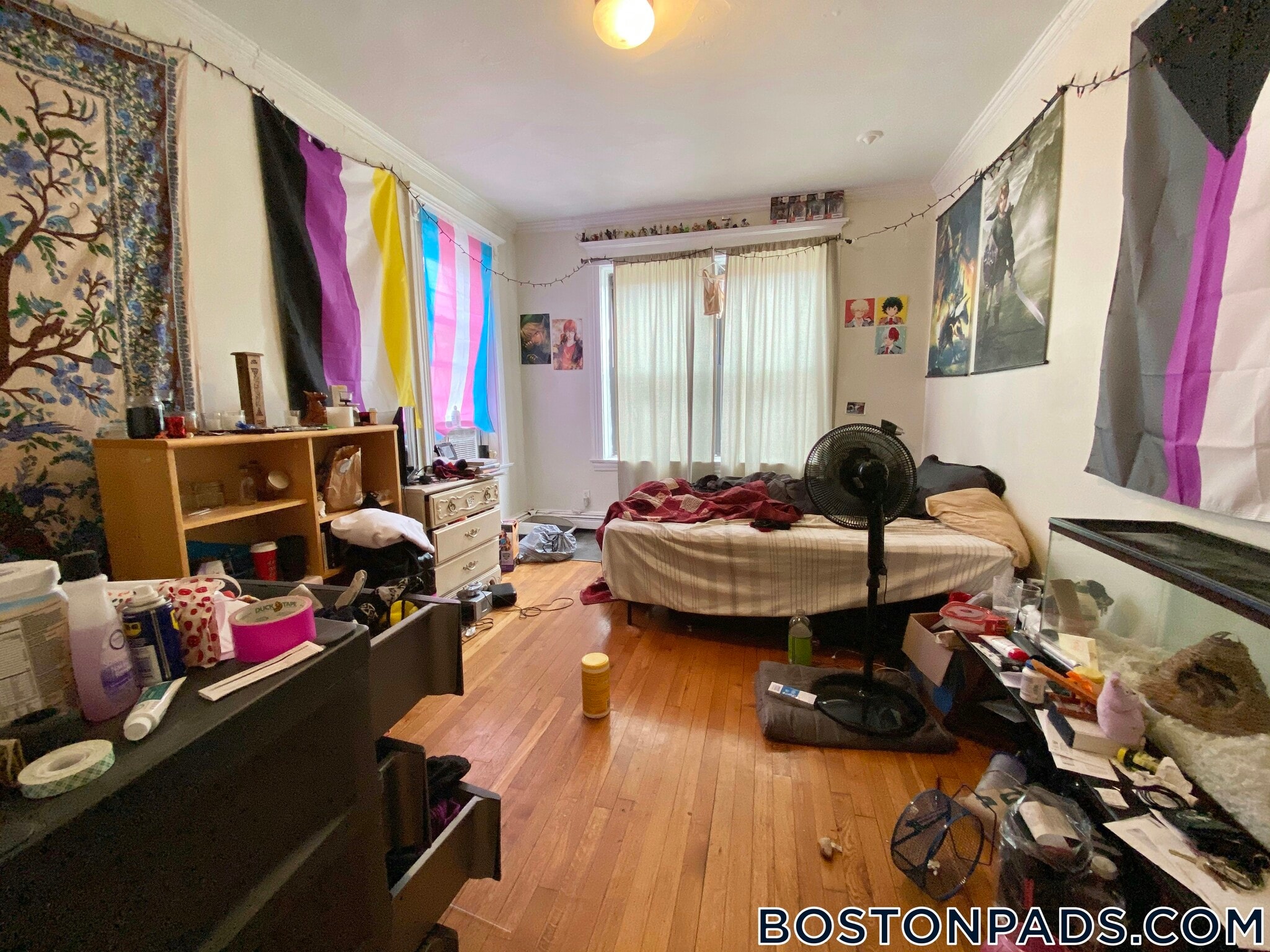 Building Photo - 46 Park Vale Ave